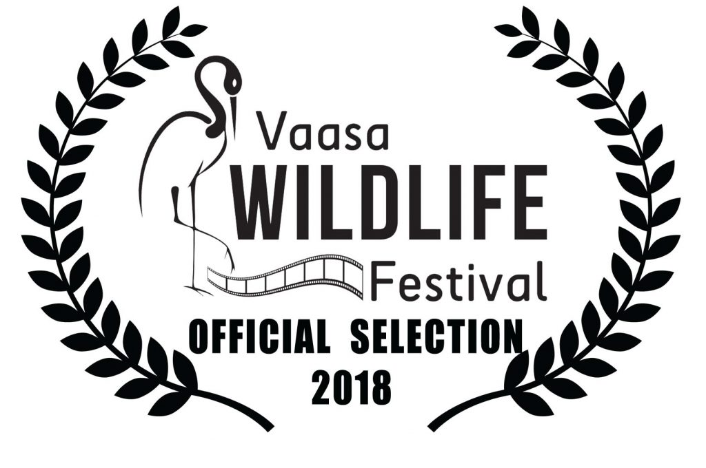 Vaasa Wildlife Festival